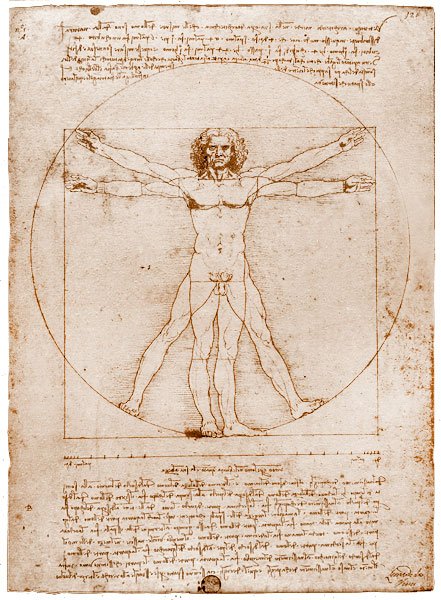 Datei:ML VitruvianMan.jpg