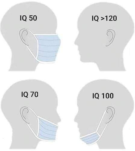 Datei:Intelligenz-Maskenträger.jpg