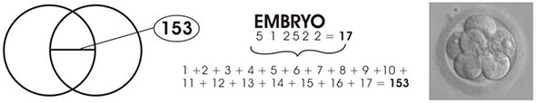 Pi3_11