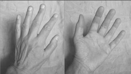 Datei:Denkmodell menschliche Hand als Hilfsmittel.png