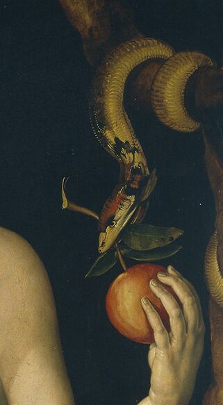 Datei:Duerers Paradiesschlange 1507.jpg
