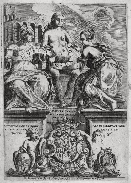 Datei:Moscardo Titel.jpg
